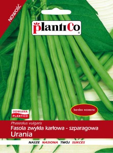 Fasola zwykła karłowa szparagowa SLENDERETTE nasiona BIO