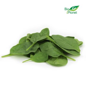 Szpinak baby świeży niemyty (opakowanie 0,10kg)