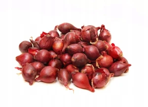 Cebula dymka Karmen 0,5kg