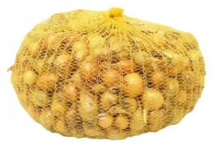 Cebula dymka Allium cepa Wolska 11-15mm 0,5kg