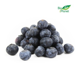 Borówki świeże BIO 0,125kg 