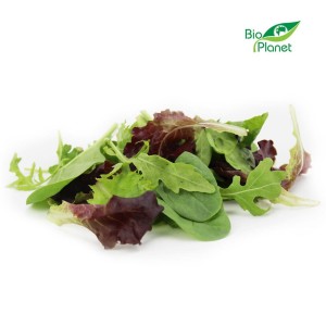 Mix sałat świeży niemyty BIO (około 10g)