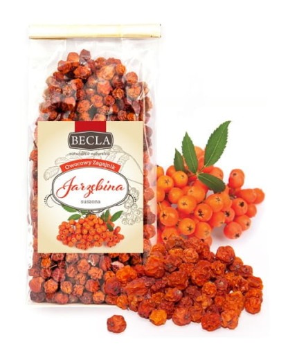1_jarzebina.webp