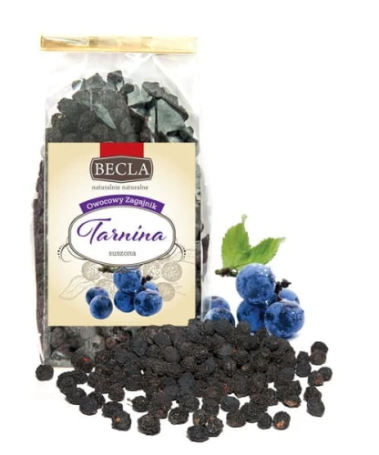 1_tarnina.webp