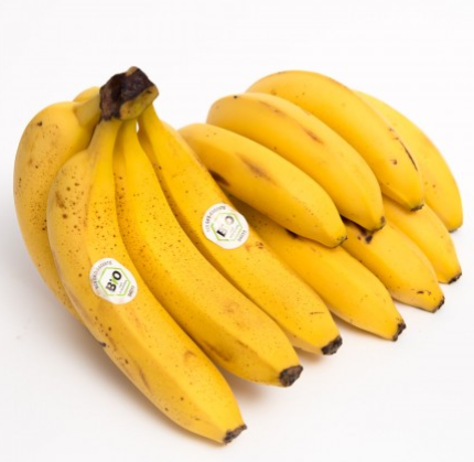 Banan Bio.PNG