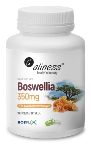  Boswellia 350 mg (70%/10%) x 100 kaps.