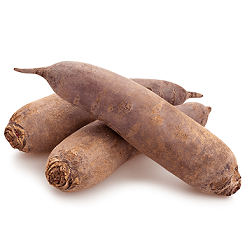 Burak podłużny bio 1 kg